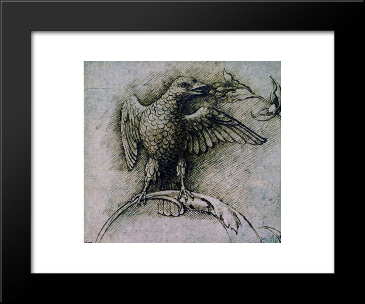 Bird On A Branch 20x24 Black Modern Wood Framed Art Print Poster by Mantegna, Andrea