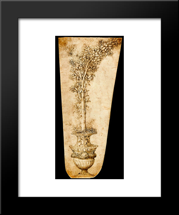 Vase With Orange 20x24 Black Modern Wood Framed Art Print Poster by Mantegna, Andrea