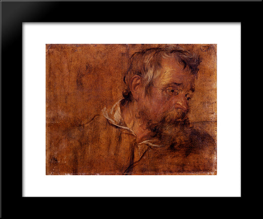 Profile Study Of A Bearded Old Man 20x24 Black Modern Wood Framed Art Print Poster by van Dyck, Anthony