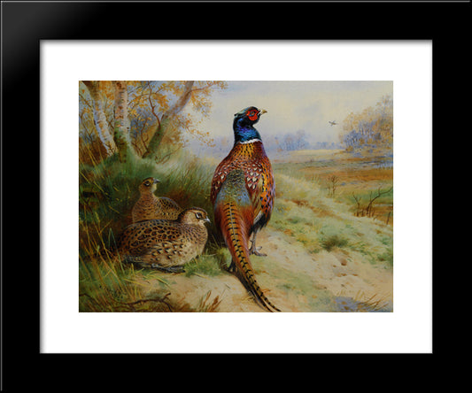 Cock And Hen Pheasant At The Edge Of A Wood 20x24 Black Modern Wood Framed Art Print Poster by Thorburn, Archibald