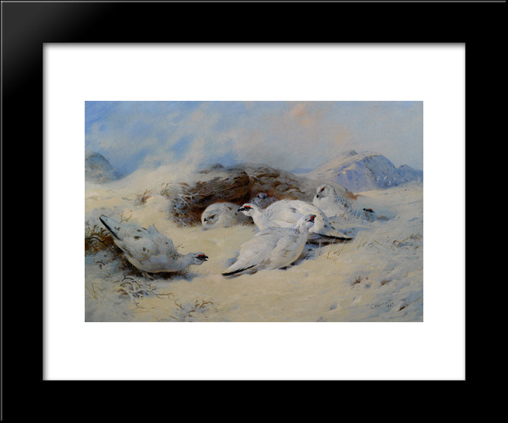 Ptarmigan Seeking Shelter 20x24 Black Modern Wood Framed Art Print Poster by Thorburn, Archibald