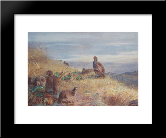 The Covey At Daybreak 20x24 Black Modern Wood Framed Art Print Poster by Thorburn, Archibald