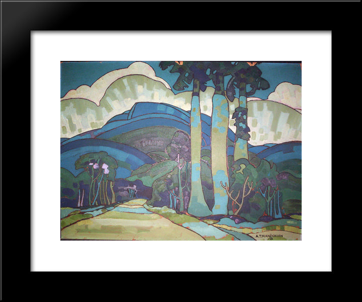 Hawaiian Landscape 20x24 Black Modern Wood Framed Art Print Poster by Manookian, Arman