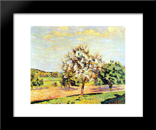 Pommiers En Fleurs 20x24 Black Modern Wood Framed Art Print Poster by Guillaumin, Armand