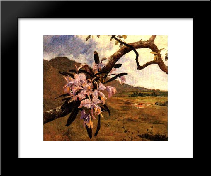 Flores De Mayo Y Paisaje 20x24 Black Modern Wood Framed Art Print Poster by Michelena, Arturo