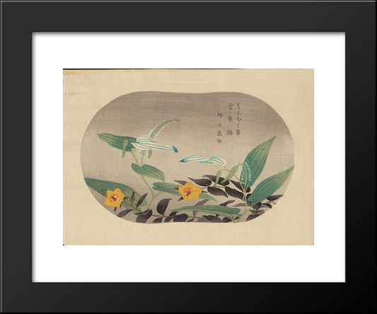 Saururus Chinensis And Hypericum Patulum 20x24 Black Modern Wood Framed Art Print Poster by Takeji, Asano