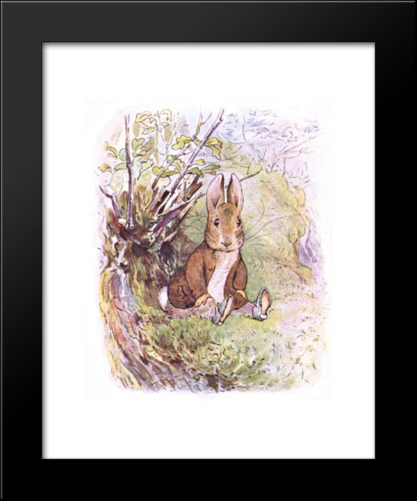 Benjamin Bunny 20x24 Black Modern Wood Framed Art Print Poster by Potter, Beatrix
