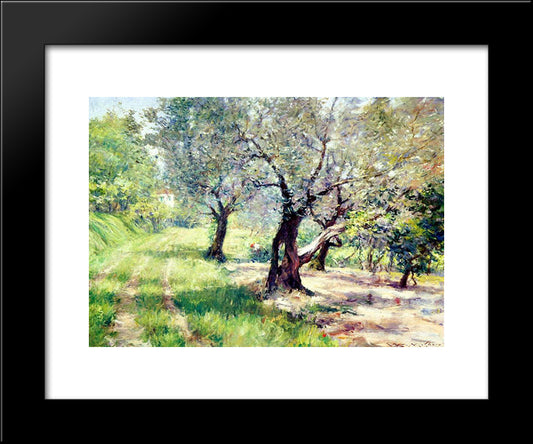 The Olive Grove 20x24 Black Modern Wood Framed Art Print Poster by Chase, William Merritt