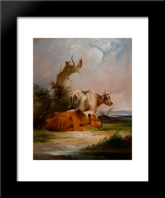 Cows, White Cow Standing 20x24 Black Modern Wood Framed Art Print Poster by Shayer, William