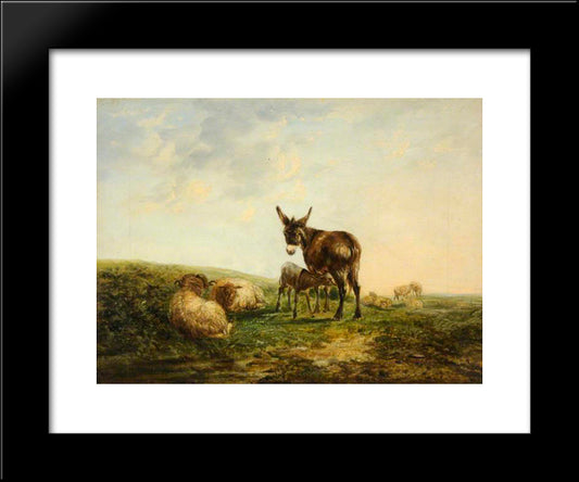 Donkey And Sheep 20x24 Black Modern Wood Framed Art Print Poster by Shayer, William