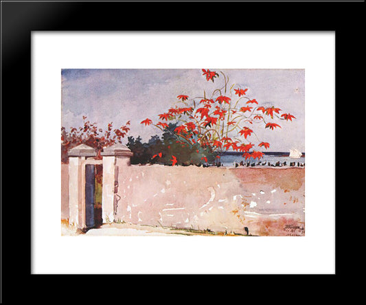 A Wall, Nassau 20x24 Black Modern Wood Framed Art Print Poster by Homer, Winslow