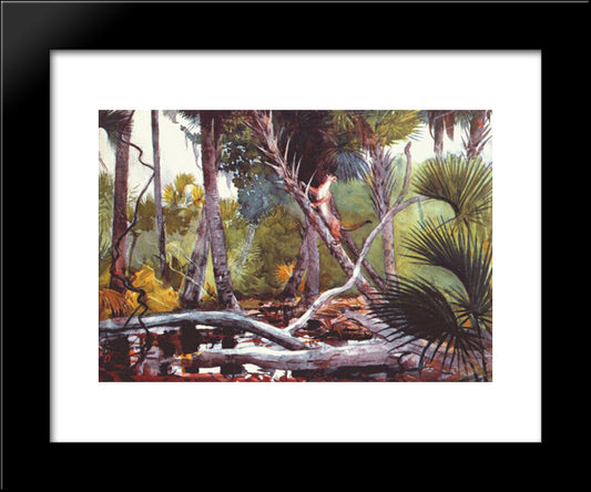 In The Jungle, Florida 20x24 Black Modern Wood Framed Art Print Poster by Homer, Winslow