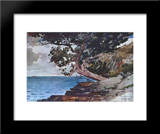 North Road, Bermuda 20x24 Black Modern Wood Framed Art Print Poster by Homer, Winslow