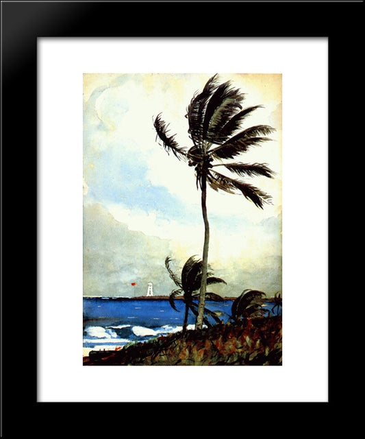 Palm Tree, Nassau 20x24 Black Modern Wood Framed Art Print Poster by Homer, Winslow