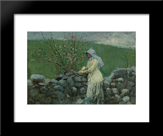 Peach Blossoms 20x24 Black Modern Wood Framed Art Print Poster by Homer, Winslow