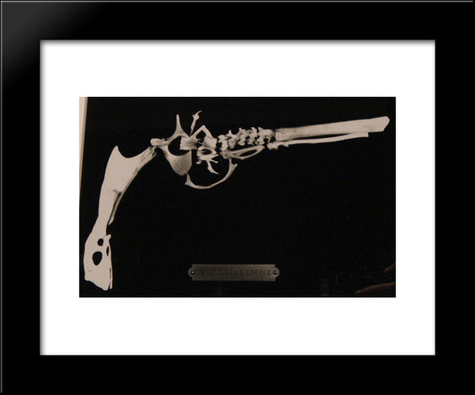 Genius Of The Species 20x24 Black Modern Wood Framed Art Print Poster by Paalen, Wolfgang