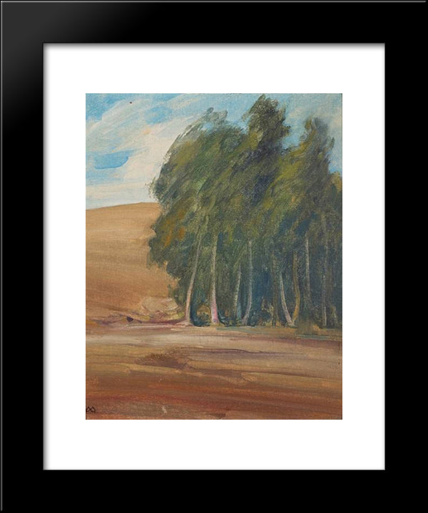 A Grove Of Windswept Trees 20x24 Black Modern Wood Framed Art Print Poster by Martinez, Xavier
