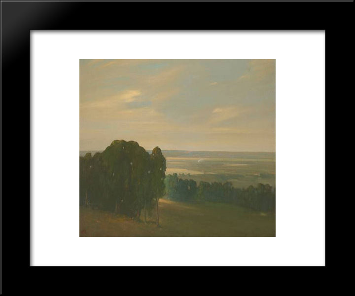 Eucalyptus Grove In A Vast Landscape 20x24 Black Modern Wood Framed Art Print Poster by Martinez, Xavier