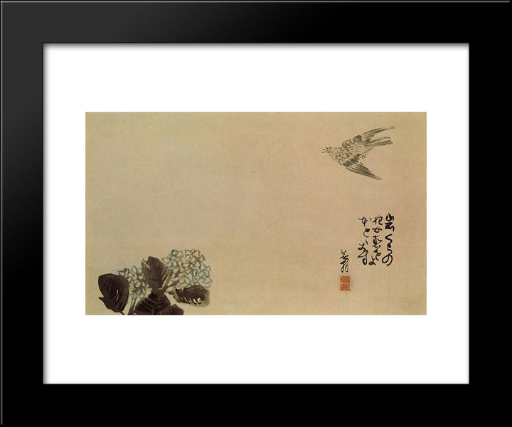 A Little Cuckoo Across A Hydrangea (Haiga) 20x24 Black Modern Wood Framed Art Print Poster by Buson, Yosa