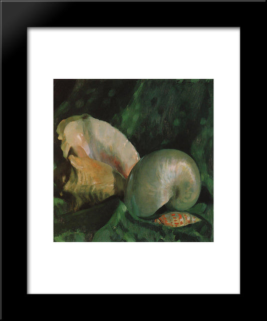 Shells 20x24 Black Modern Wood Framed Art Print Poster by Kustodiev, Boris