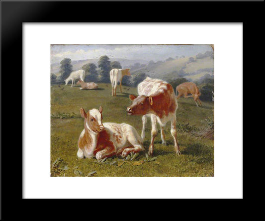 Calves In A Meadow 20x24 Black Modern Wood Framed Art Print Poster by Riviere, Briton