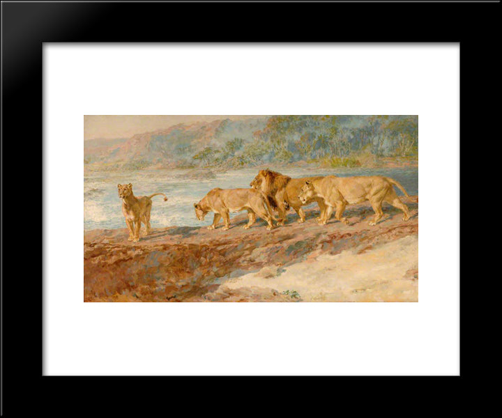 On The Bank Of An African River 20x24 Black Modern Wood Framed Art Print Poster by Riviere, Briton