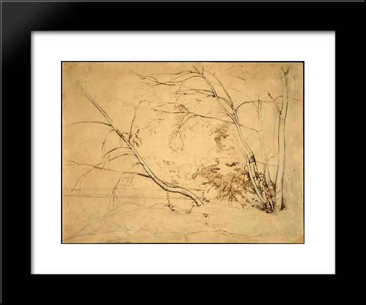 Clump Of Trees At Civita Castellana 20x24 Black Modern Wood Framed Art Print Poster by Corot, Jean Baptiste Camille
