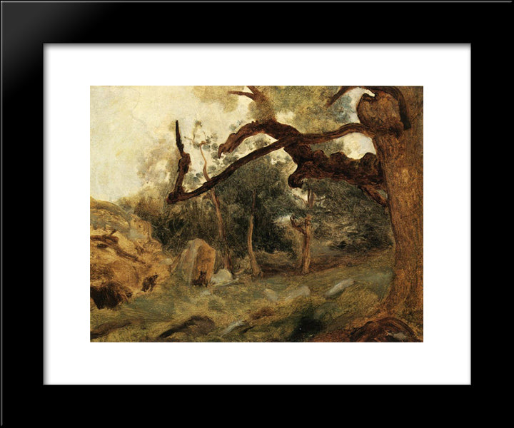 L Arbre Tordu, Les Chenes Du Mont Usey, Fontainebleau 20x24 Black Modern Wood Framed Art Print Poster by Corot, Jean Baptiste Camille