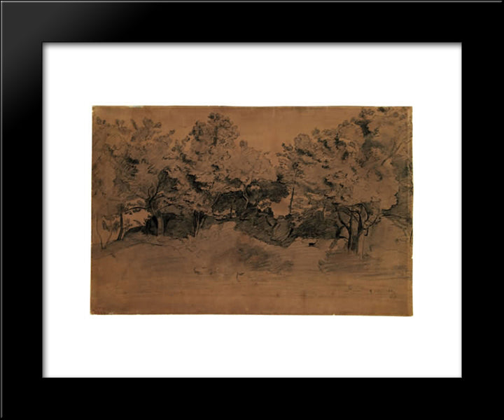 Landscape Of Royat, Study Of Trees 20x24 Black Modern Wood Framed Art Print Poster by Corot, Jean Baptiste Camille