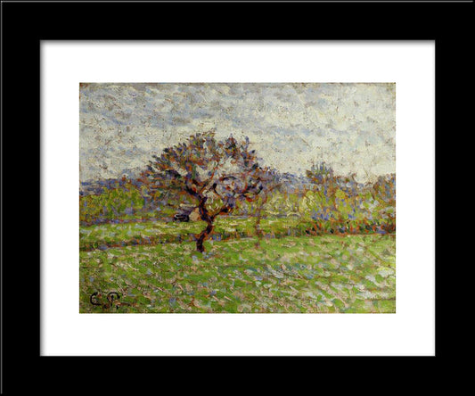 An Apple Tree At Eragny 20x24 Black Modern Wood Framed Art Print Poster by Pissarro, Camille