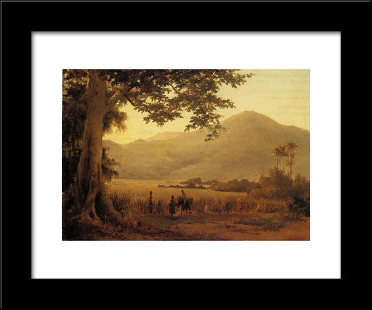 Antilian Landscape, St. Thomas 20x24 Black Modern Wood Framed Art Print Poster by Pissarro, Camille