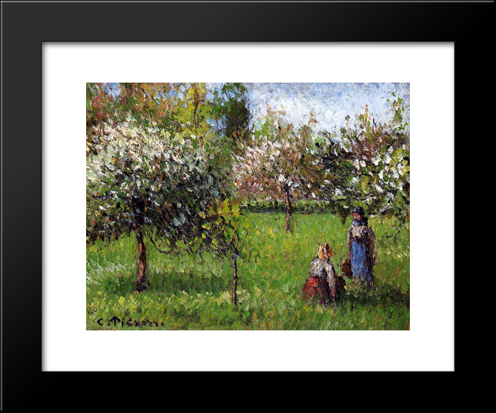 Apple Blossoms, Eragny 20x24 Black Modern Wood Framed Art Print Poster by Pissarro, Camille