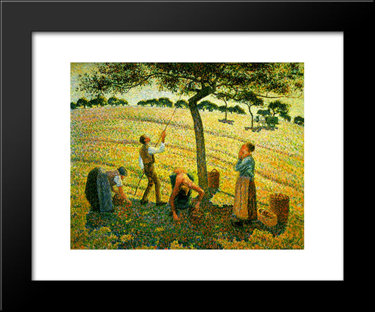 Apple Picking At Eragny-Sur-Epte 20x24 Black Modern Wood Framed Art Print Poster by Pissarro, Camille