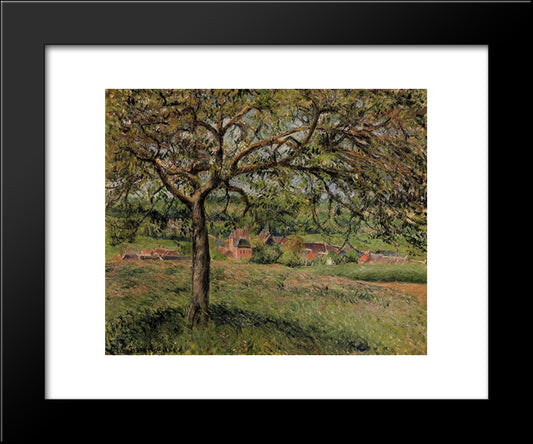 Apple Tree At Eragny 20x24 Black Modern Wood Framed Art Print Poster by Pissarro, Camille