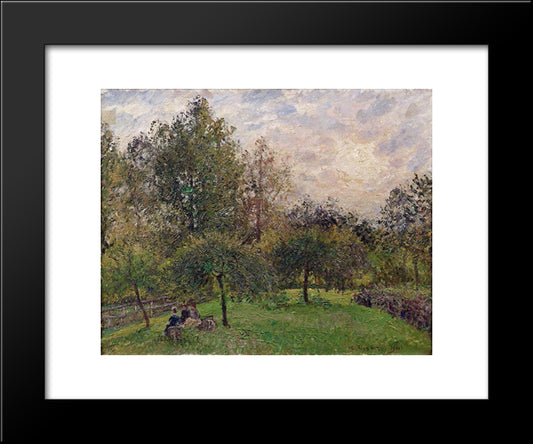 Apple Trees And Poplars In The Setting Sun 20x24 Black Modern Wood Framed Art Print Poster by Pissarro, Camille