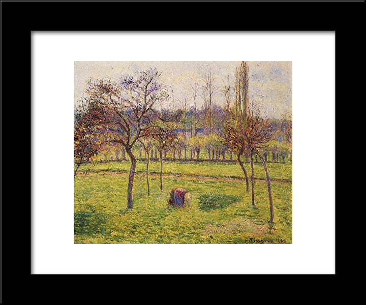 Apple Trees In A Field 20x24 Black Modern Wood Framed Art Print Poster by Pissarro, Camille