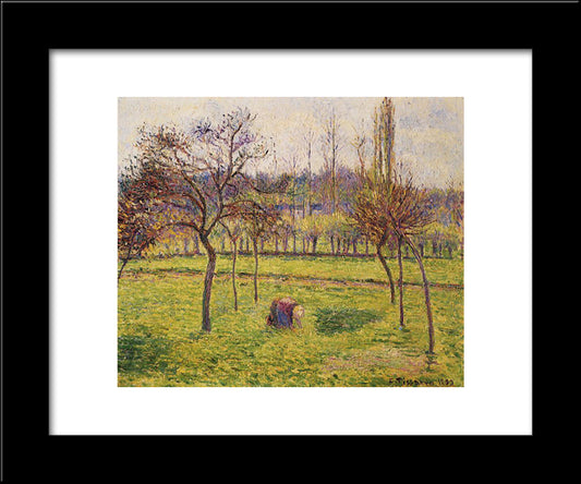 Apple Trees In A Field 20x24 Black Modern Wood Framed Art Print Poster by Pissarro, Camille