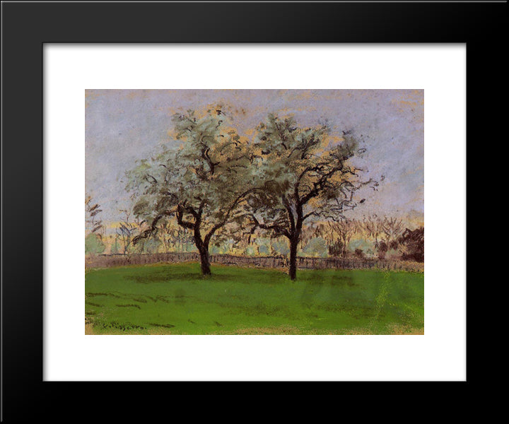 Apples Trees At Pontoise 20x24 Black Modern Wood Framed Art Print Poster by Pissarro, Camille