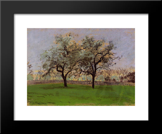 Apples Trees At Pontoise 20x24 Black Modern Wood Framed Art Print Poster by Pissarro, Camille