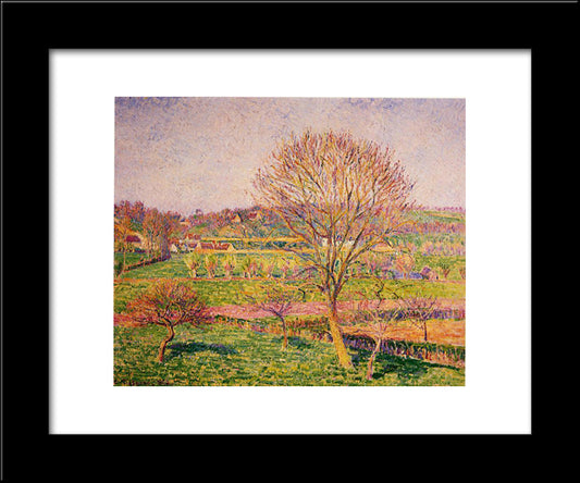 Big Walnut Tree At Eragny 20x24 Black Modern Wood Framed Art Print Poster by Pissarro, Camille