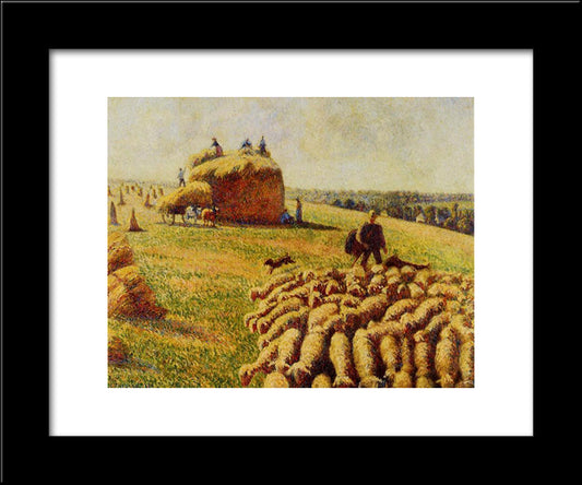 Flock Of Sheep In A Field After The Harvest 20x24 Black Modern Wood Framed Art Print Poster by Pissarro, Camille