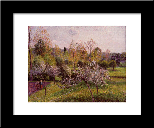 Flowering Apple Trees, Eragny 20x24 Black Modern Wood Framed Art Print Poster by Pissarro, Camille