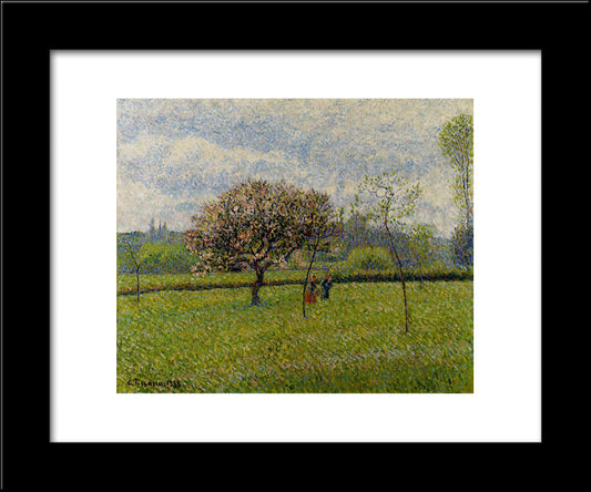 Flowering Apple Trees At Eragny 20x24 Black Modern Wood Framed Art Print Poster by Pissarro, Camille
