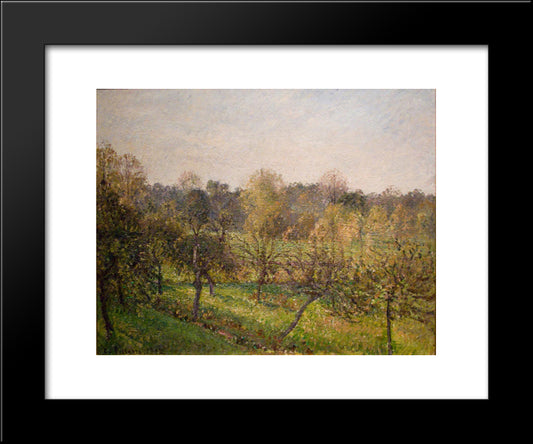 Forest In Evening 20x24 Black Modern Wood Framed Art Print Poster by Pissarro, Camille