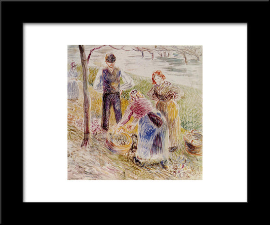 Harvesting Potatos 20x24 Black Modern Wood Framed Art Print Poster by Pissarro, Camille