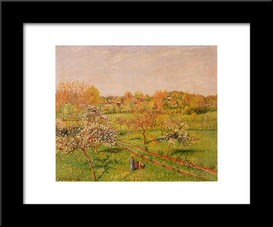 Morning, Flowering Apple Trees, Eragny 20x24 Black Modern Wood Framed Art Print Poster by Pissarro, Camille