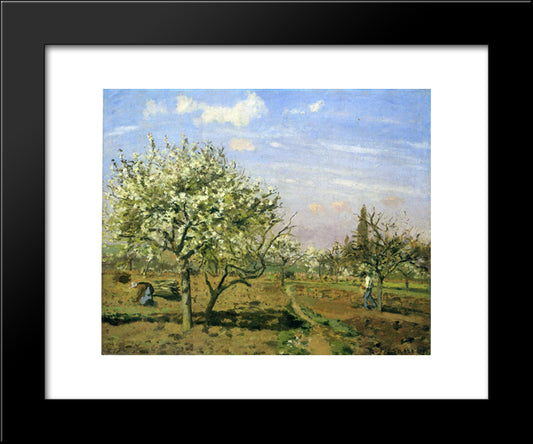 Orchard In Blossom, Louveciennes 20x24 Black Modern Wood Framed Art Print Poster by Pissarro, Camille