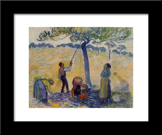 Picking Apples 20x24 Black Modern Wood Framed Art Print Poster by Pissarro, Camille