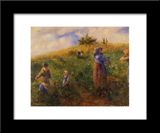 Picking Peas 20x24 Black Modern Wood Framed Art Print Poster by Pissarro, Camille
