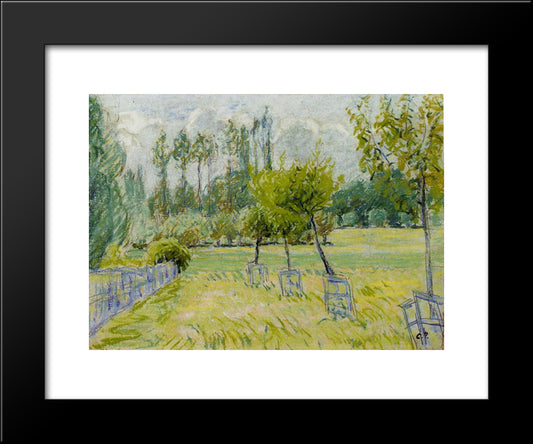 Study Of Apple Trees At Eragny 20x24 Black Modern Wood Framed Art Print Poster by Pissarro, Camille